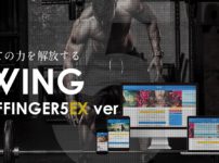 affinger5 wing アフィンガー